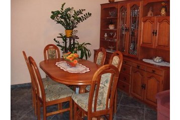 Madjarska Privát Buzsák, Eksterijer